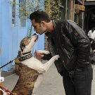 Dogs in the City (2012)