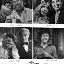 The Muppet Show (1976-1981) - Himself - Special Guest Star