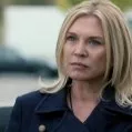 New Tricks (2003) - Det. Supt. Sandra Pullman