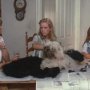 Divé mačky (1986)