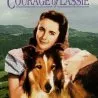 Odvážná Lassie (1946) - Bill aka Duke