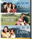 Courage of Lassie (1946) - Bill aka Duke