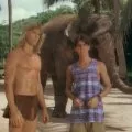 Tarzán 1991 (1991-1995) - Tarzan