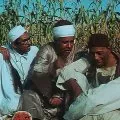Al-ard (1969) - Muhammad Abu Swelim