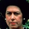 Windsorské paní (1992)