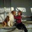 Lassie (2005) - Lassie