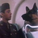 Pes v uniformě (1990)