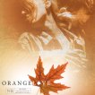 Oranžová láska (2007) - Roman