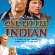 One Little Indian (1973)