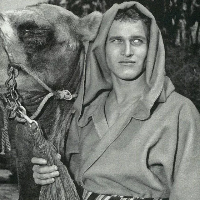 Paul Newman (Basil) zdroj: imdb.com