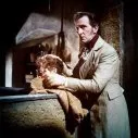 The Curse of Frankenstein (1957) - Victor Frankenstein