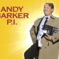 Andy Barker, P.I. (2007) - Andy Barker