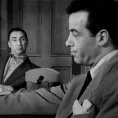 Detective Story (1951) - Tami Giacoppetti
