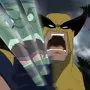 Hulk Vs. Wolverine (2009) - Wolverine