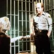Vězení v Jackson County (1976) - Hobie