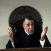 Môj bratranec Vinny (1992) - Judge Chamberlain Haller