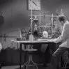 The Brain That Wouldn't Die (1962) - Dr. Bill Cortner