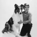 Lassie 1954 (1954-1974) - Timmy Martin