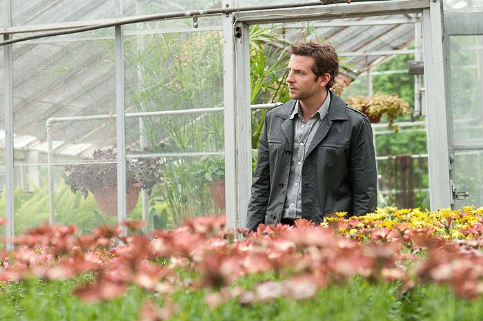 Bradley Cooper (Rory Jansen)