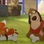 The Fox and the Hound 2 (2006) - Cash 
  
  
  (voice)
