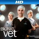 Bionic Vet (2010)
