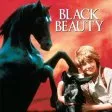 Black Beauty (1971) - Joe