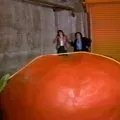 Attack of the Killer Tomatoes! (1978) - Mason Dixon