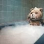 Ted (2012) - Ted
