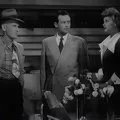 Miss Grant Takes Richmond (1949) - Timothy P. Gleason