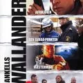 Wallander: Afrikanen (2006) - Nyberg