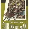 The Incredible Shrinking Man (1957) - Scott Carey