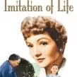 Imitation of Life (více) (1934) - Delilah Johnson