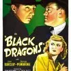 Black Dragons (1942) - Alice Saunders