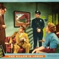 The Killer Is Loose (1956) - Detective Chris Gillespie