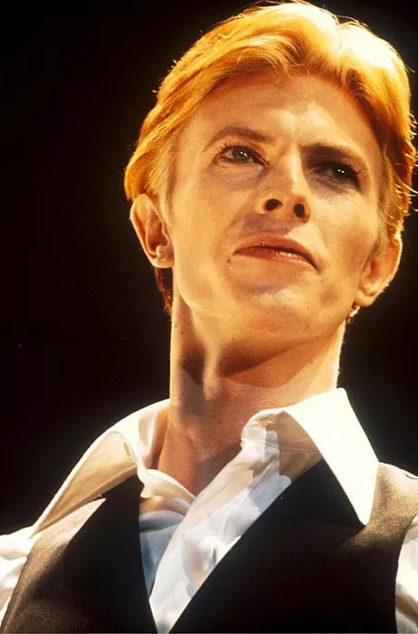 David Bowie zdroj: imdb.com