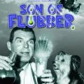 Son of Flubber (1963) - Dog