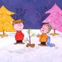 Vánoce (1965) - Linus Van Pelt