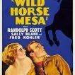 Wild Horse Mesa (1932) - Sandy Melberne