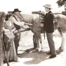Texasští jezdci (1936) - Amanda Bailey