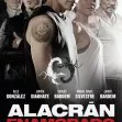 Alacran enamorado (2013)