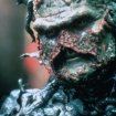 The Return of Swamp Thing (1989) - Swamp Thing