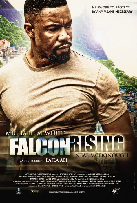 Michael Jai White (John ’Falcon’ Chapman) zdroj: imdb.com