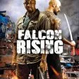 Falcon Rising (2014) - Hirimoto