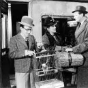 Vlak duchů (1941) - Miss Bourne