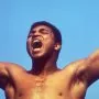 Muhammad Ali: Na vrcholu (1996) - Himself