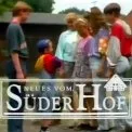 Neues vom Süderhof (1991) - Benjamin 'Ben' Brendel