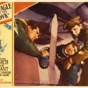 The Eagle and the Hawk (1933) - Mike Richards