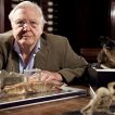 David Attenborough's Natural Curiosities (2013-2018) - Himself - Presenter