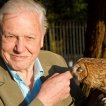 Prírodné kuriozity Davida Attenborougha (2013-2018) - Himself - Presenter