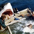 Posledný žralok (1981) - Dave